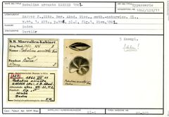 Karteikarte zum Syntyp von Robulina arcuata Karrer, 1862